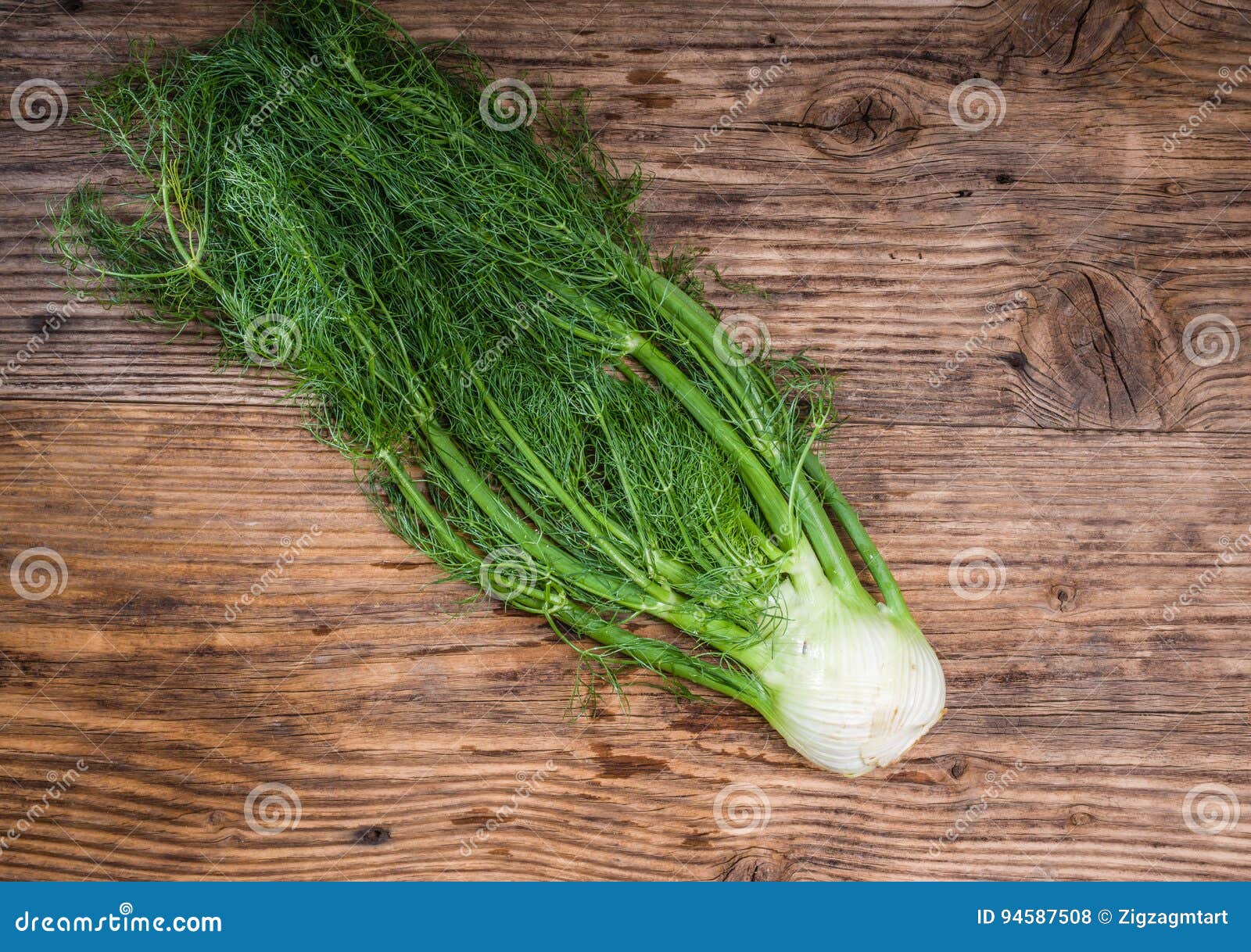 Fennel Bulb on a Rustic Wooden Table Stock Photo Image of flavor