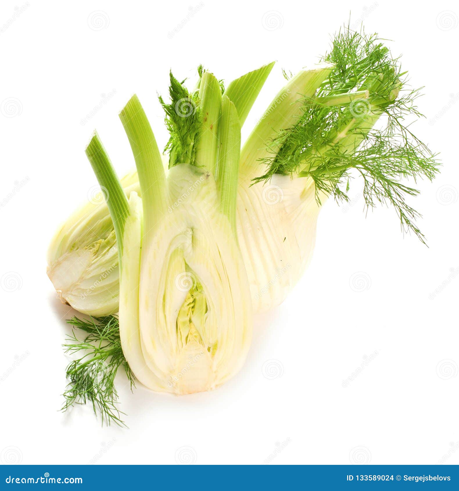 Fennel Bulb. Single Fresh Fennel Bulb with Leaves on White Backg Stock