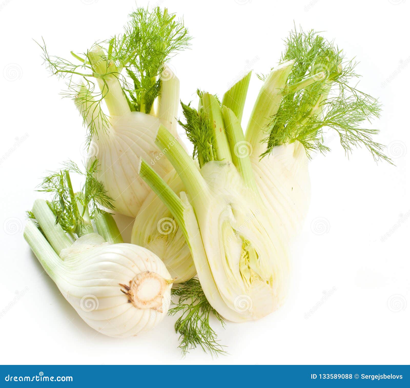 Fennel Bulb. Single Fresh Fennel Bulb with Leaves on White Backg Stock