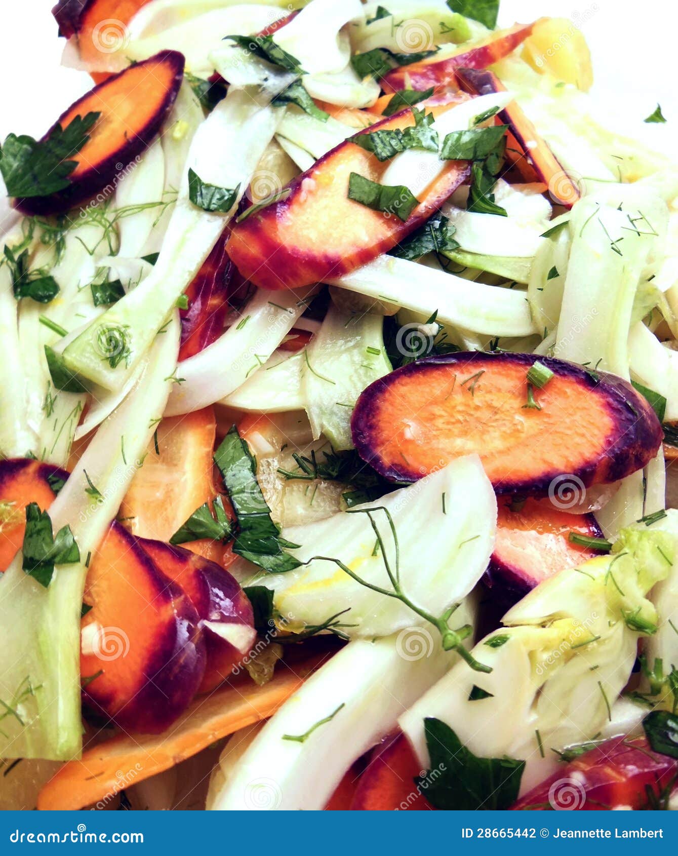 Fennel and carrot salad stock photo. Image of salad, vegetarian 28665442