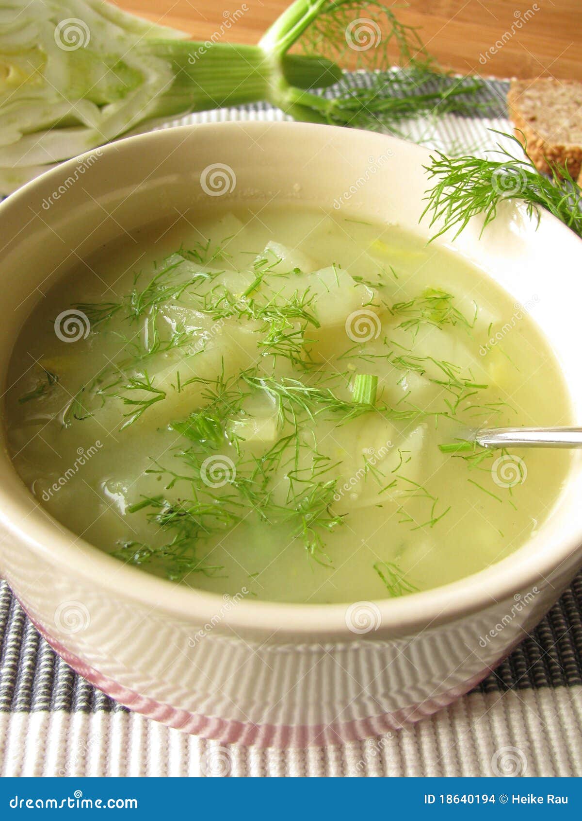 Fennel cream soup stock photo. Image of homemade, green 18640194