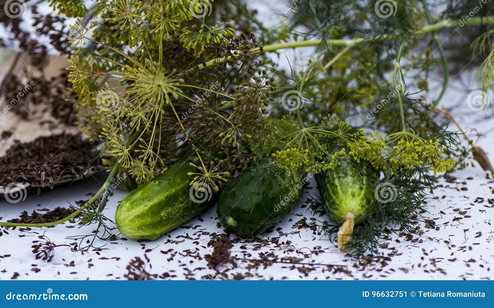 Fennel and cucumbers stock image. Image of cucumebrs 96632751