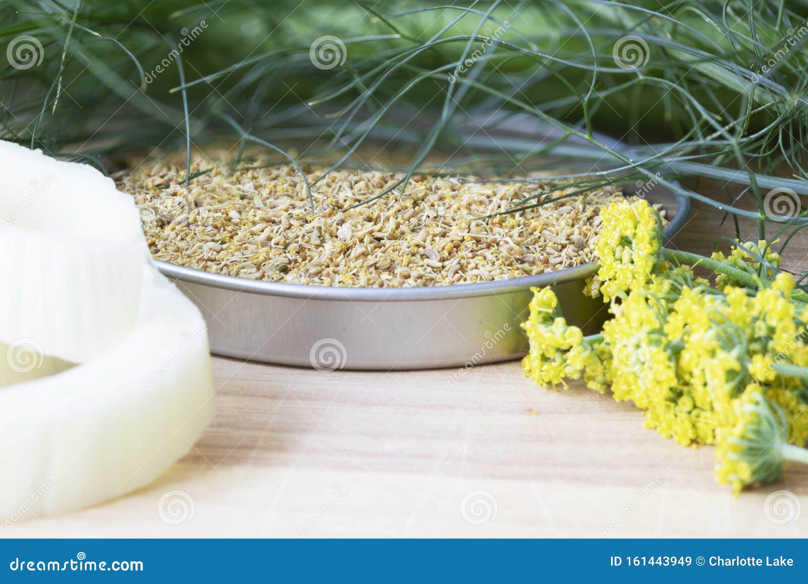 Fennel Four Ways stock image. Image of flavour, flowers 161443949
