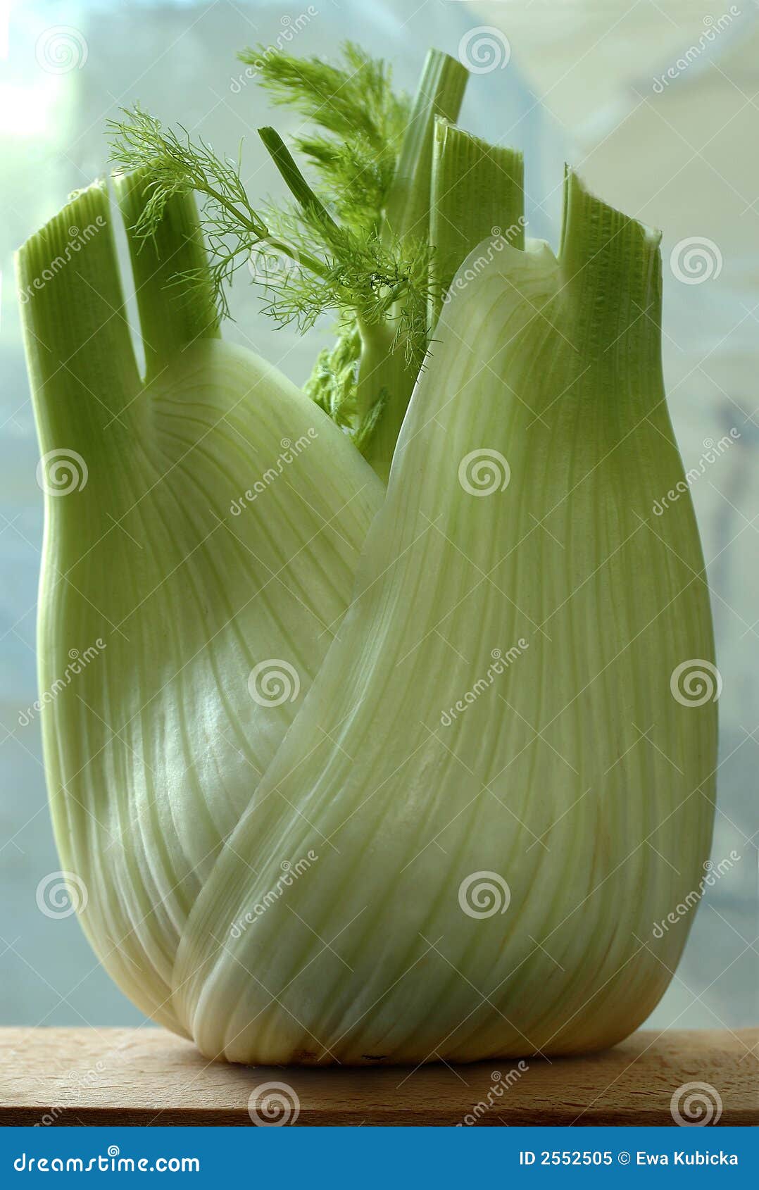 Fennel in the kitchen stock image. Image of close, uncooked 2552505