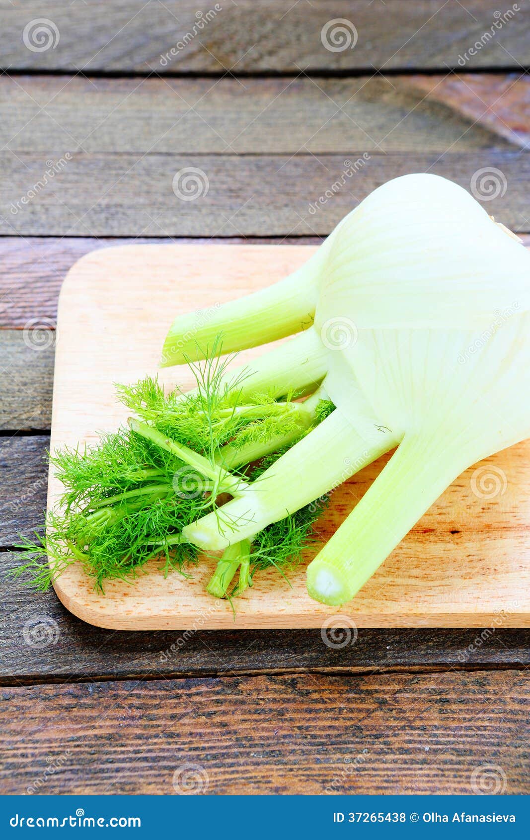 Fennel on the Kitchen Board Stock Photo Image of vegetable