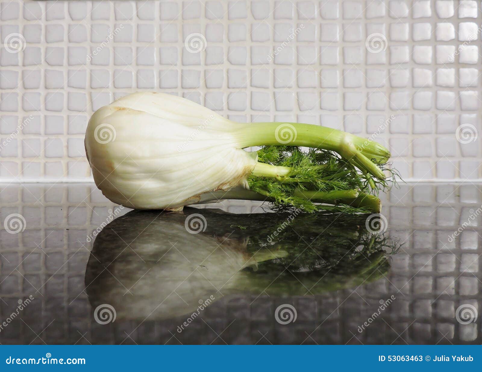 Fennel on kitchen counter stock image. Image of nutrition 53063463