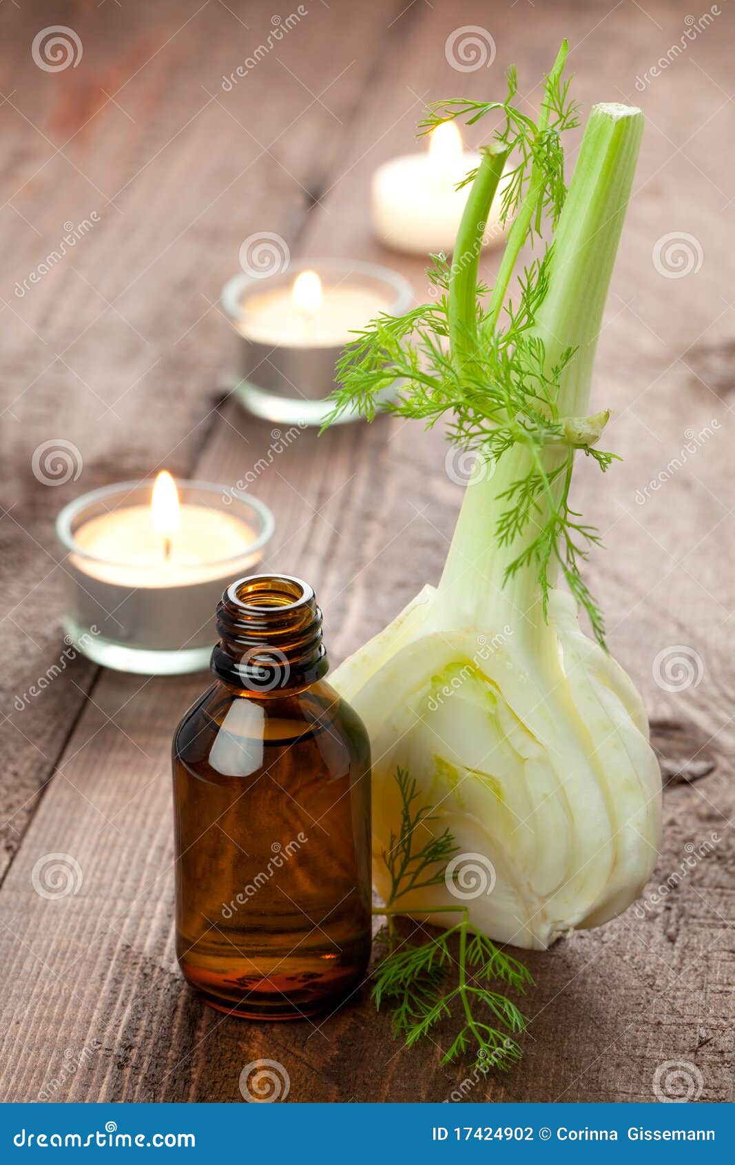 Fennel oil stock photo. Image of wellness, therapy, bottle 17424902