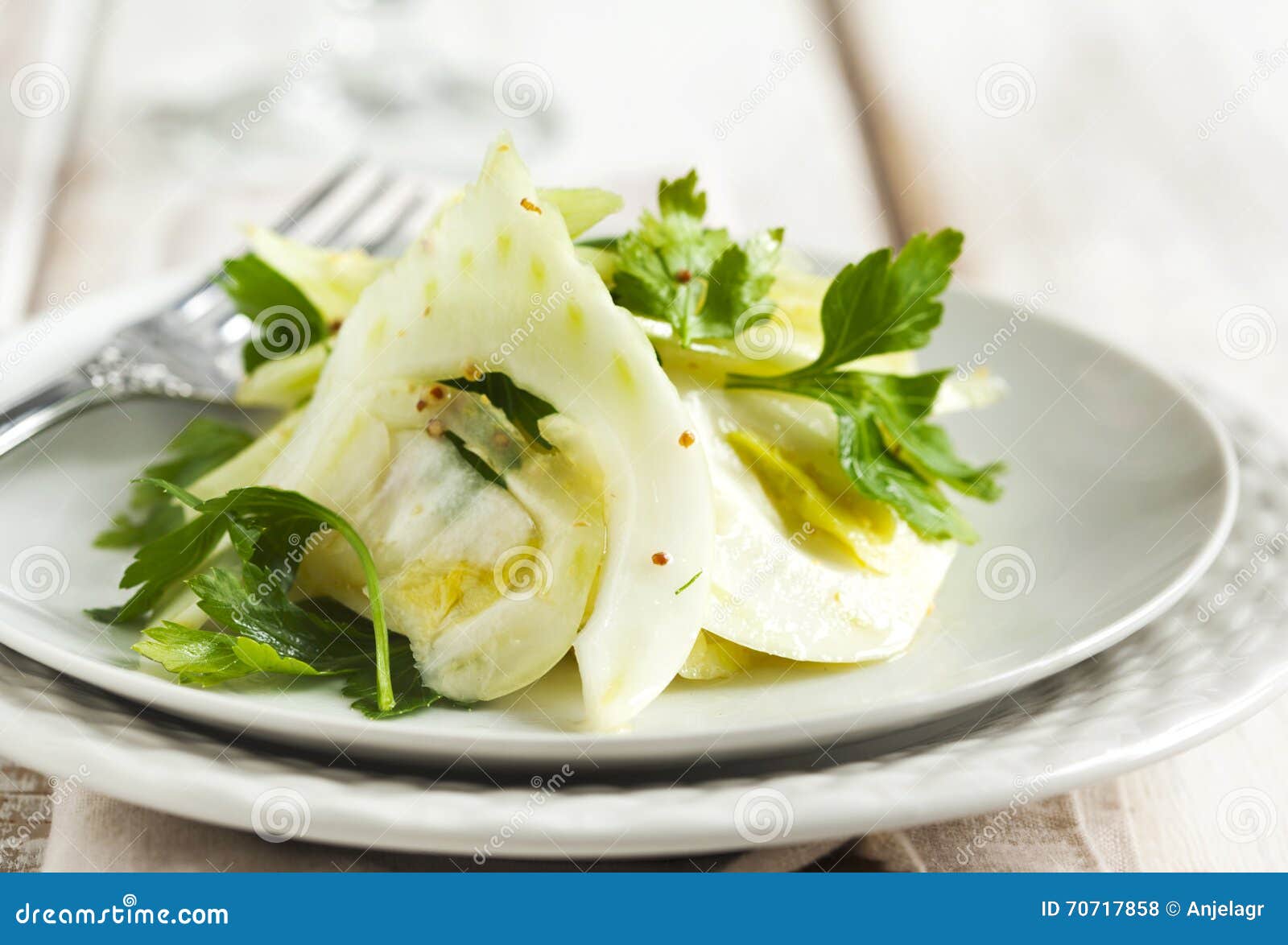 Fennel and parsley salad stock photo. Image of fennel 70717858