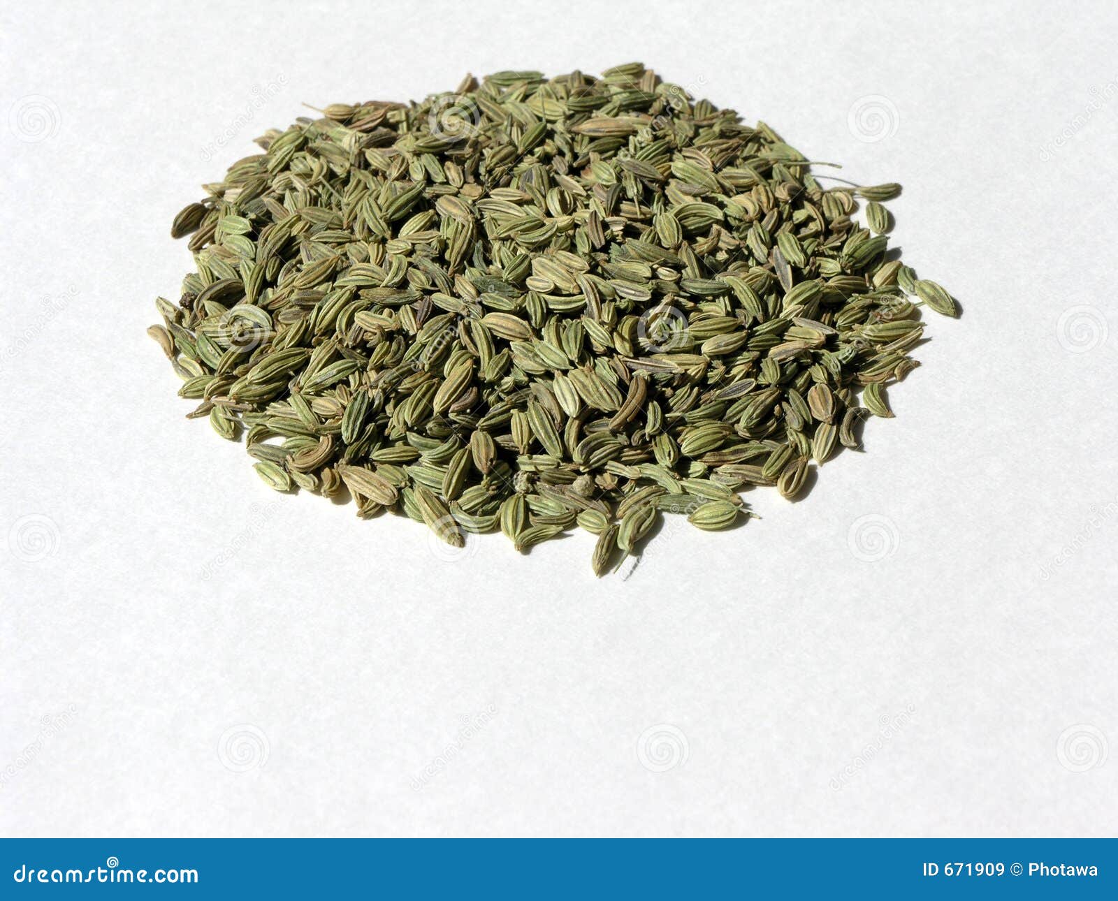Fennel Seed 1 stock image. Image of flavor, spice, green 671909