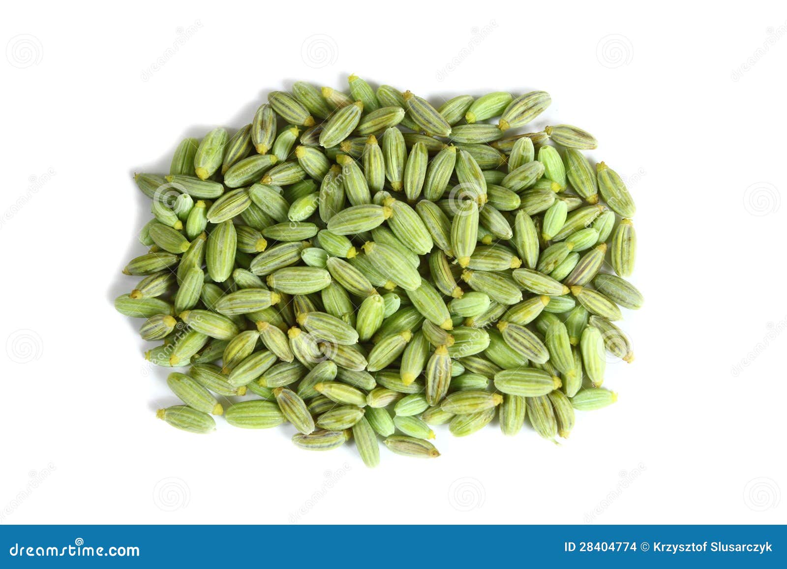 Fennel seeds stock photo. Image of foeniculum, seed, spice 28404774