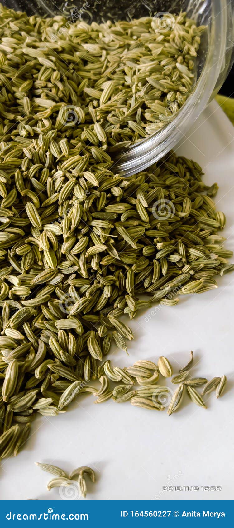 Fennel Seeds an Aroma Based Hurb Stock Image Image of aromatic
