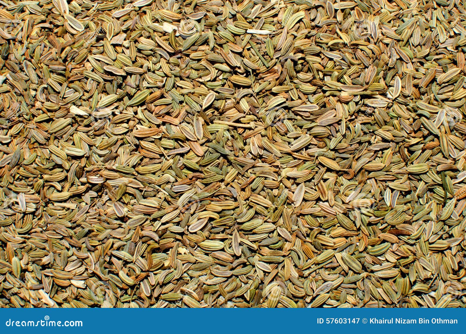 Fennel seeds stock image. Image of spices, herb, close 57603147