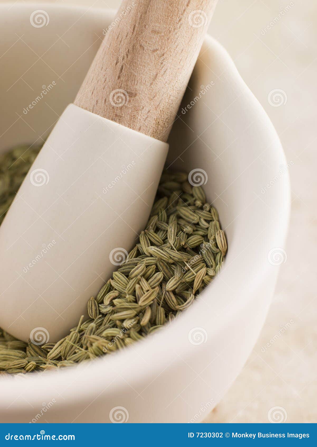 Fennel Seeds in a Pestle and Mortar Stock Photo Image of abundance