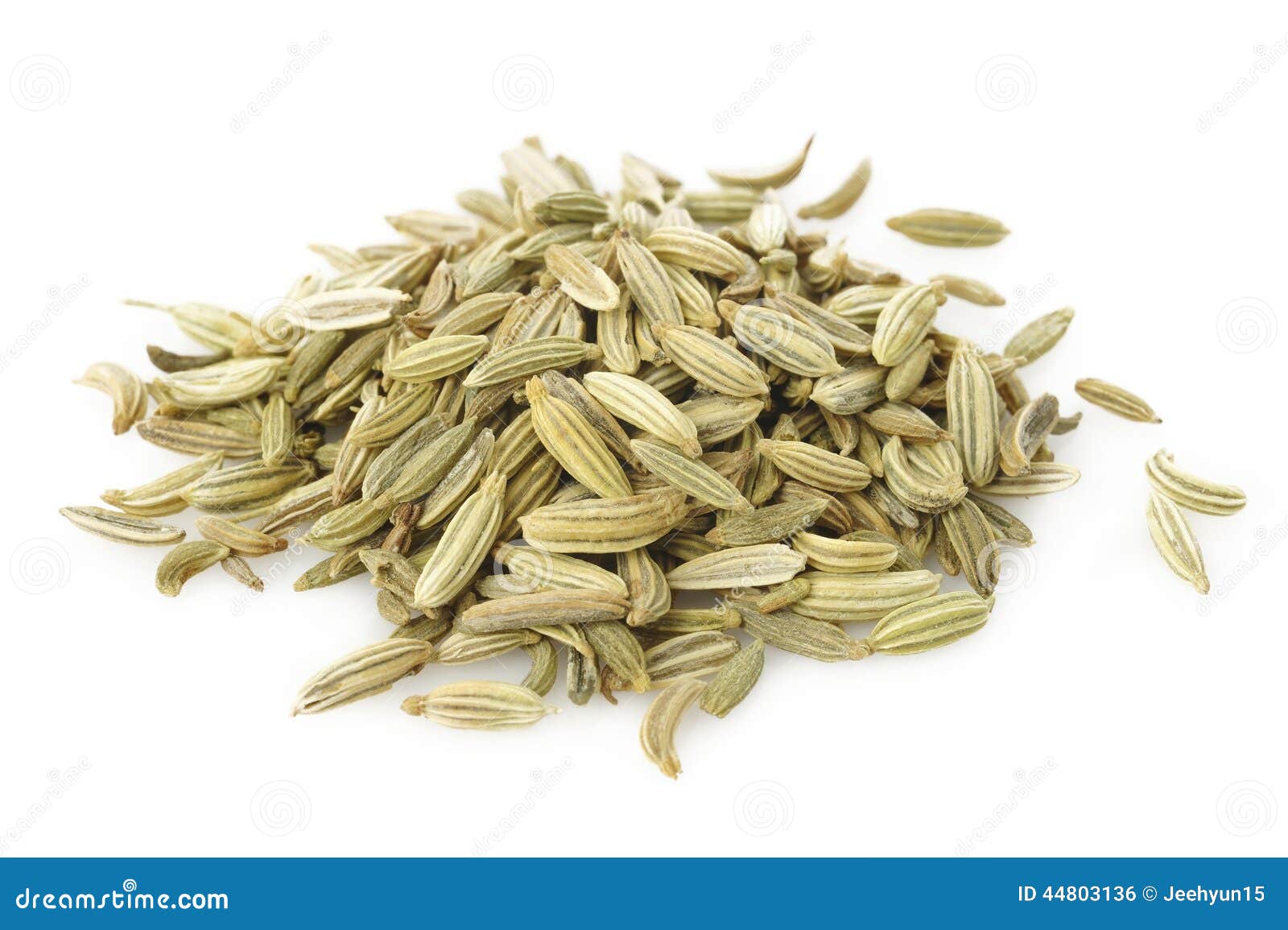 Fennel seeds stock photo. Image of condiments, plant 44803136