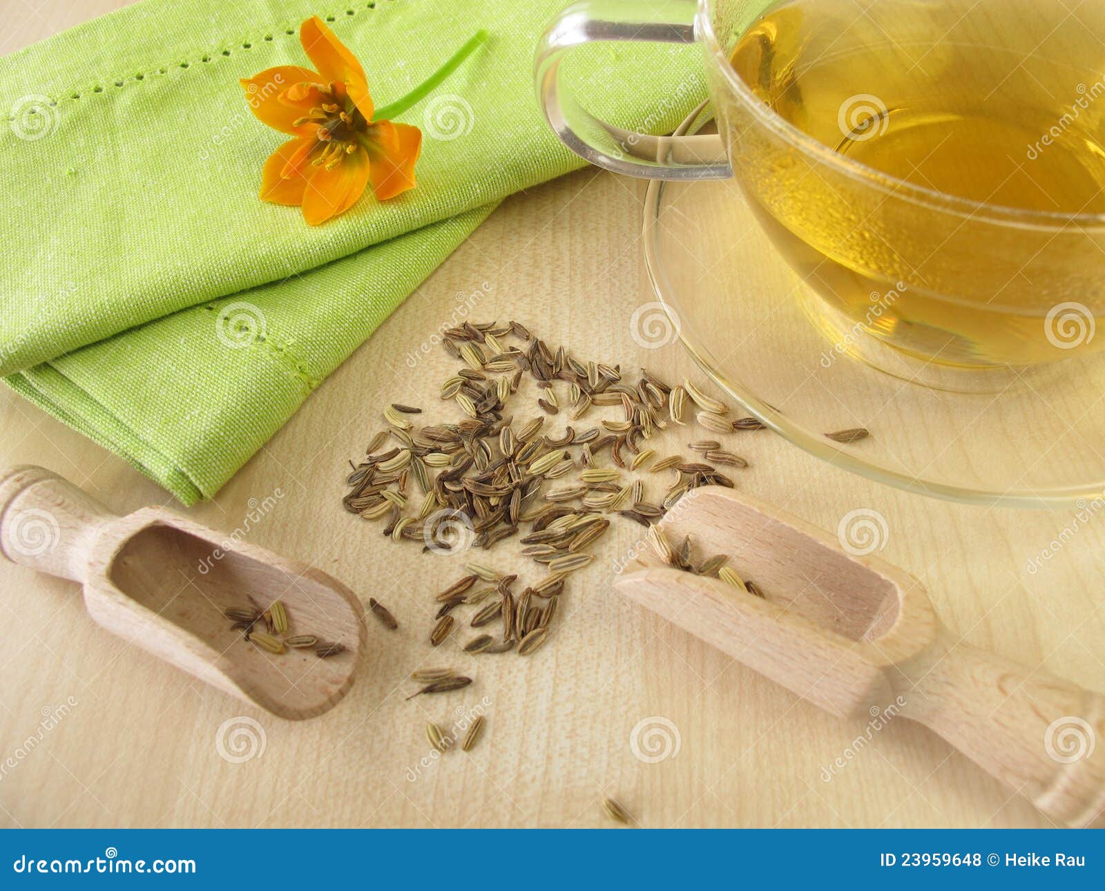 Fennel tea stock photo. Image of child, herbs, foeniculum 23959648
