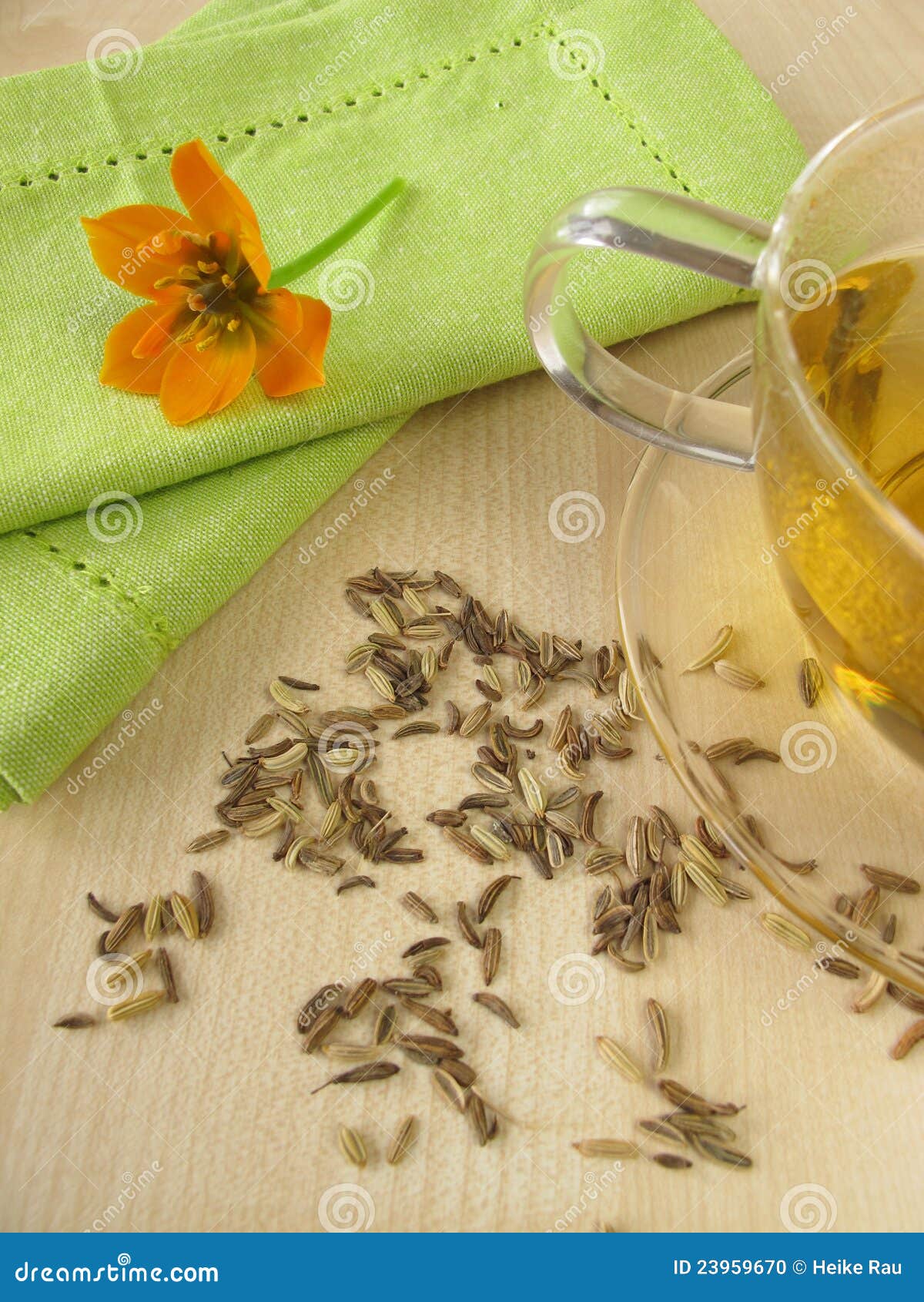 Fennel tea stock photo. Image of drink, fennel, fruits 23959670