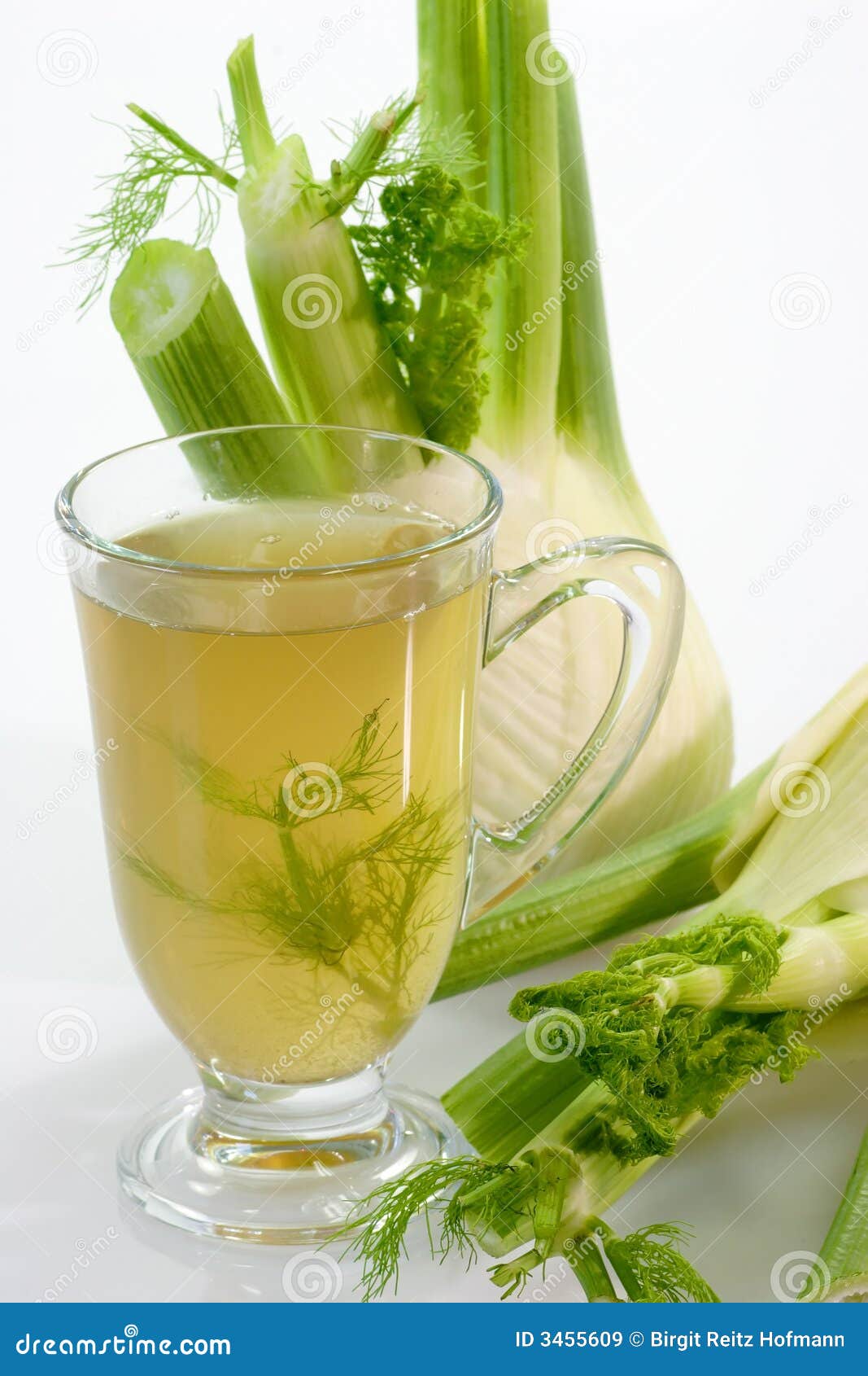 Fennel Tea stock image. Image of welfare, fennel, ache - 3455609