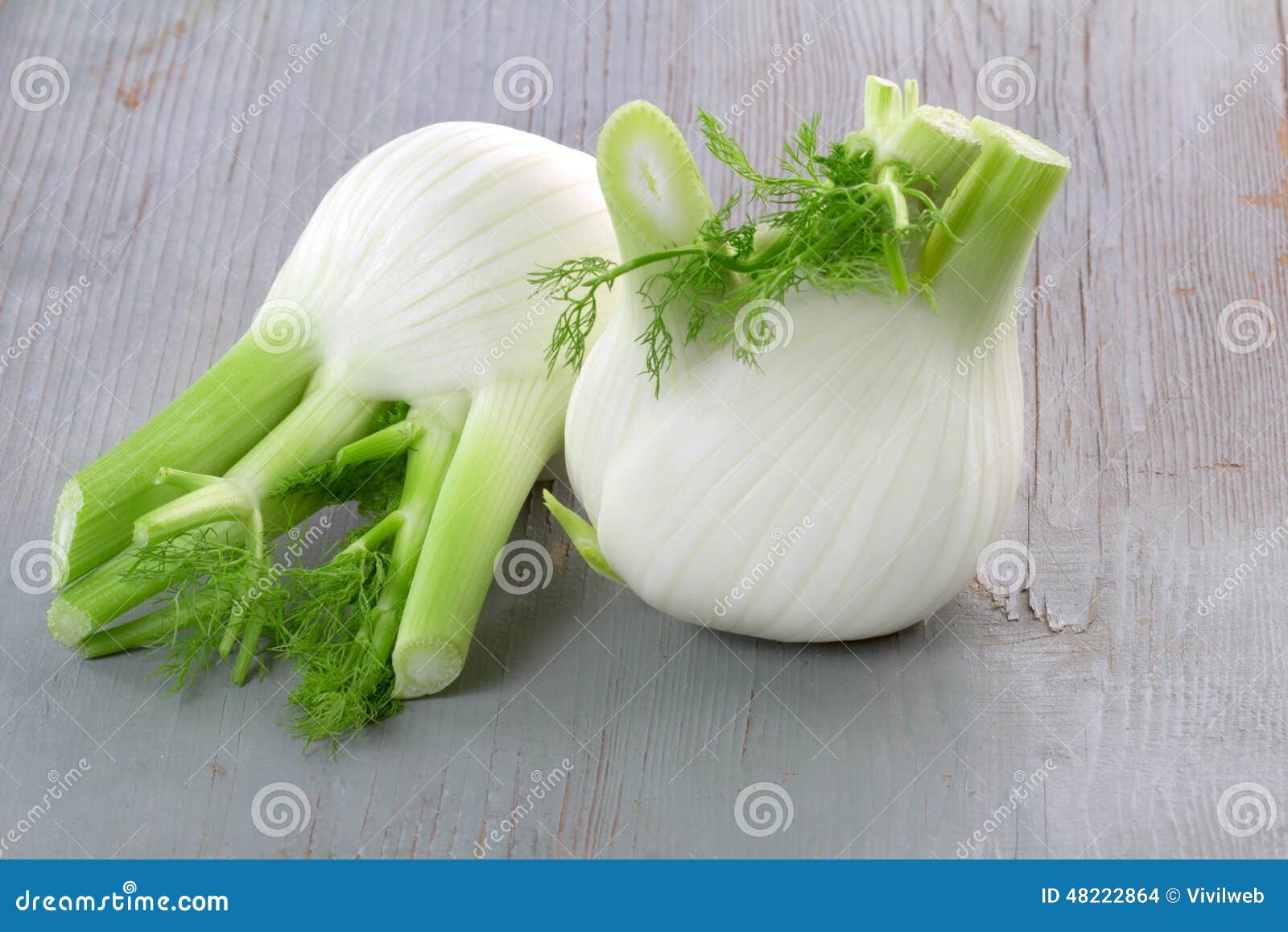 Fennel stock photo. Image of eating, food, flavor, bulb 48222864