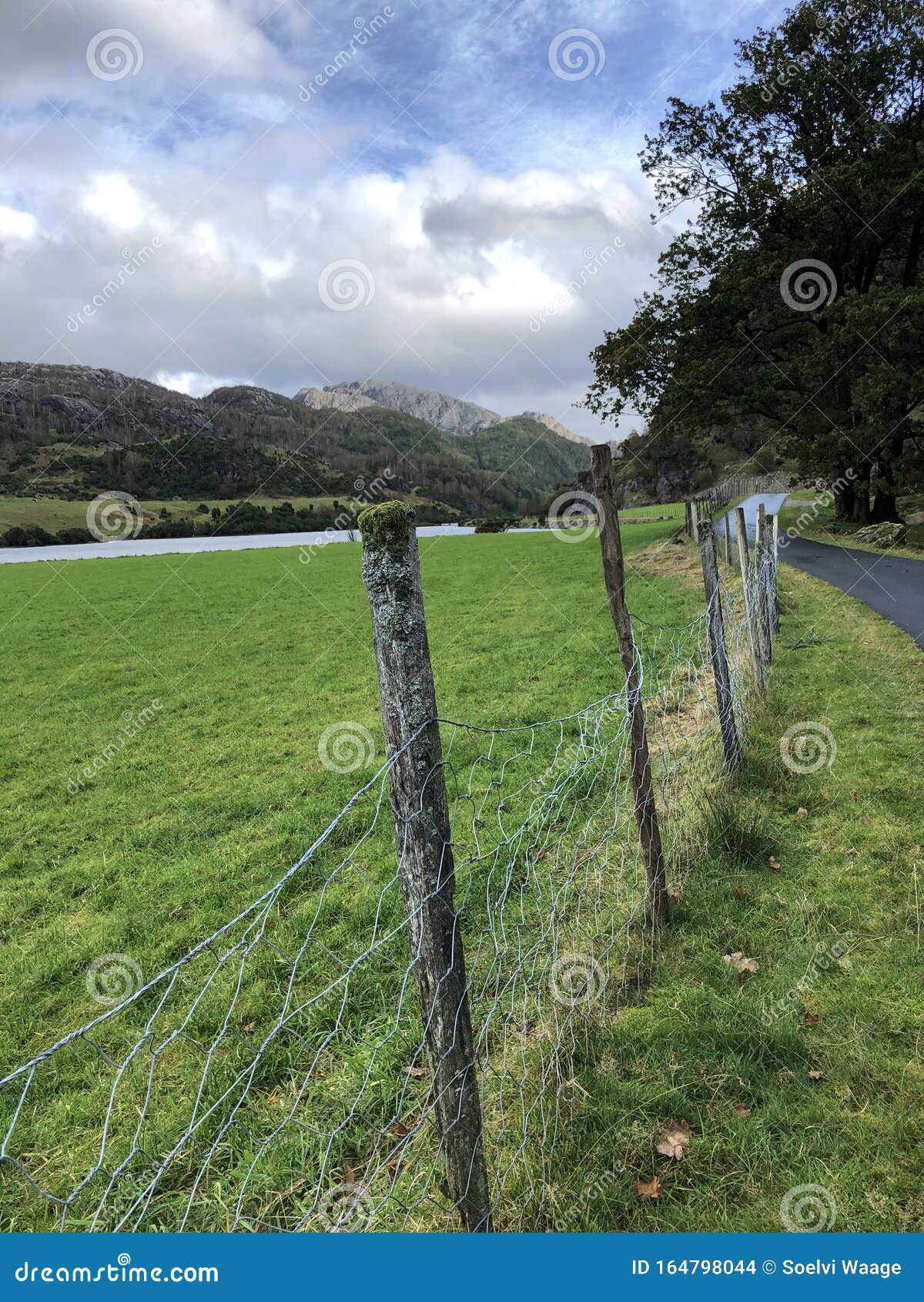 fence at the contry side of norway