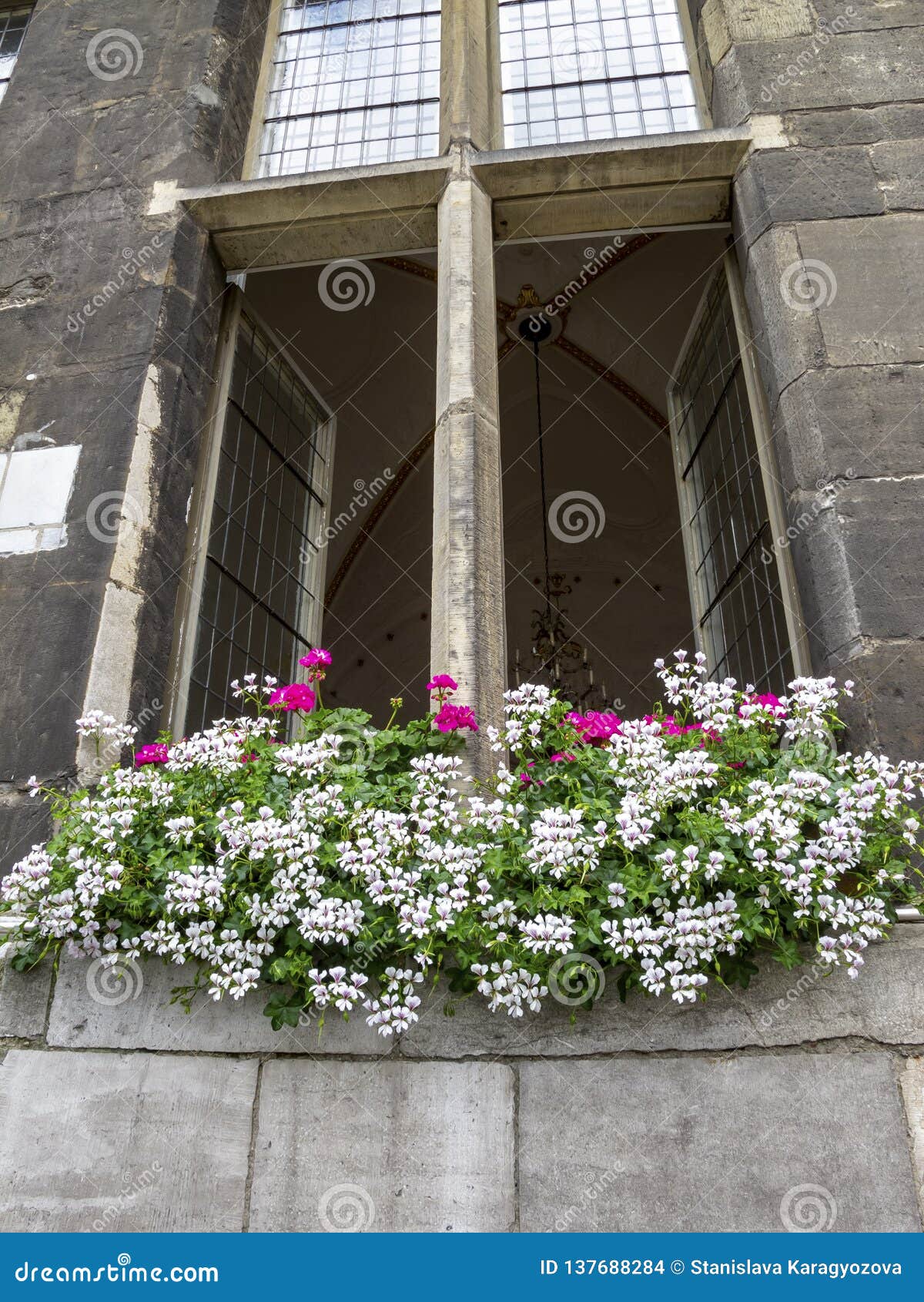Fenster Der Aachener Stadtverwaltung Mit Blumen In Aachen