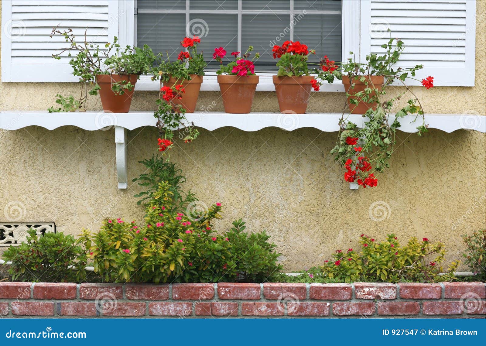 Fenster-Regal Mit Eingemachten Anlagen Stockbild - Bild von marke, blau ...
