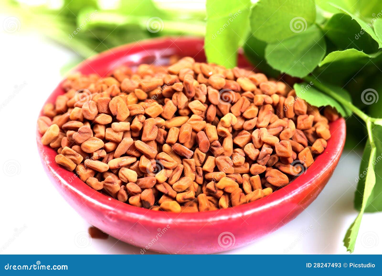 Fenugreek stock image. Image of food, background, pure 28247493