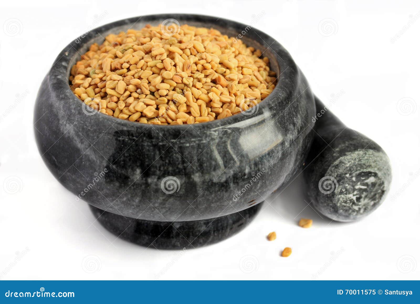 Fenugreek on White Background Stock Image - Image of medicine, grass