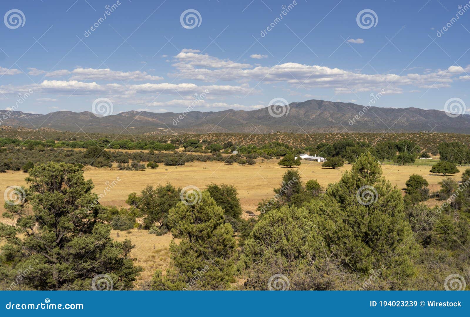 ferguson valley ranch in arizona