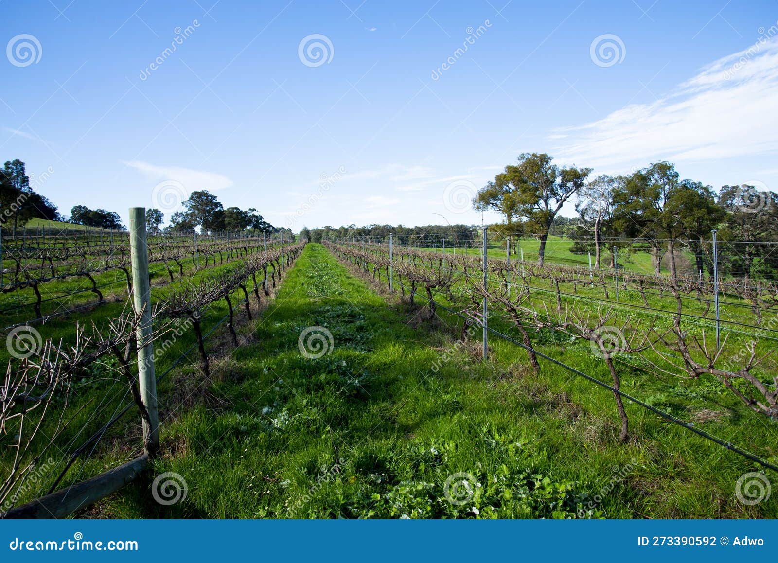 Ferguson Valley stock photo. Image of lake, farm, rolling 273390592