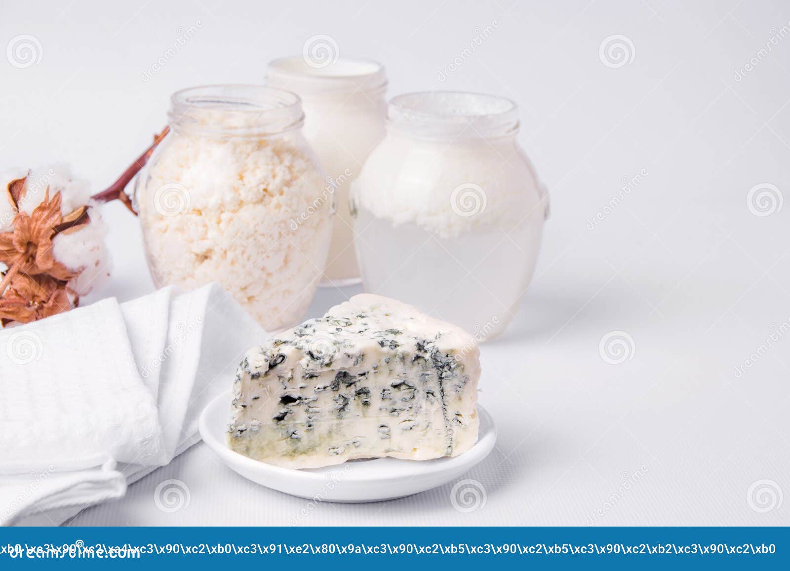 fermented dairy products