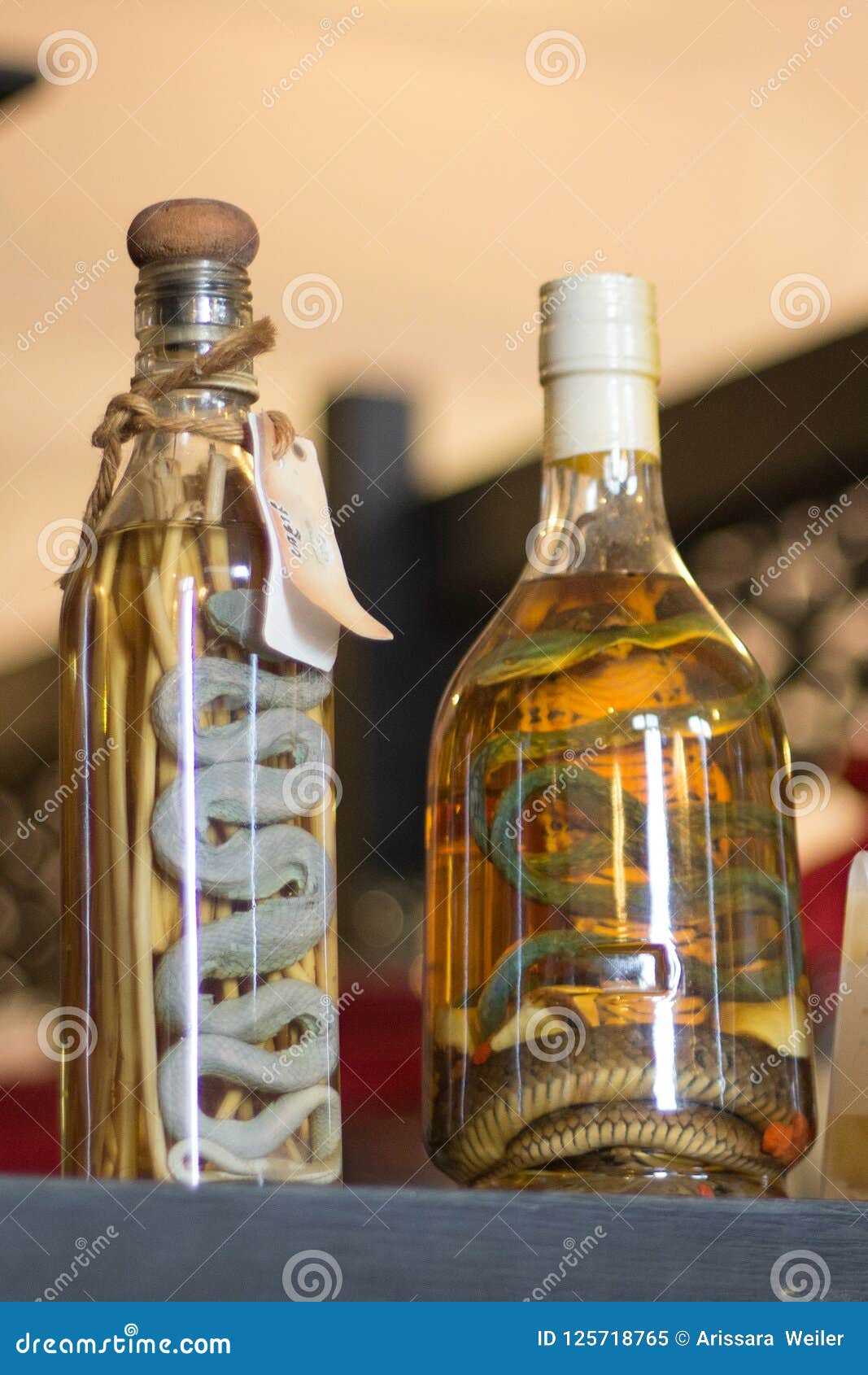 Fermented Snakes in Bottles Stock Image Image of animal, snake 125718765
