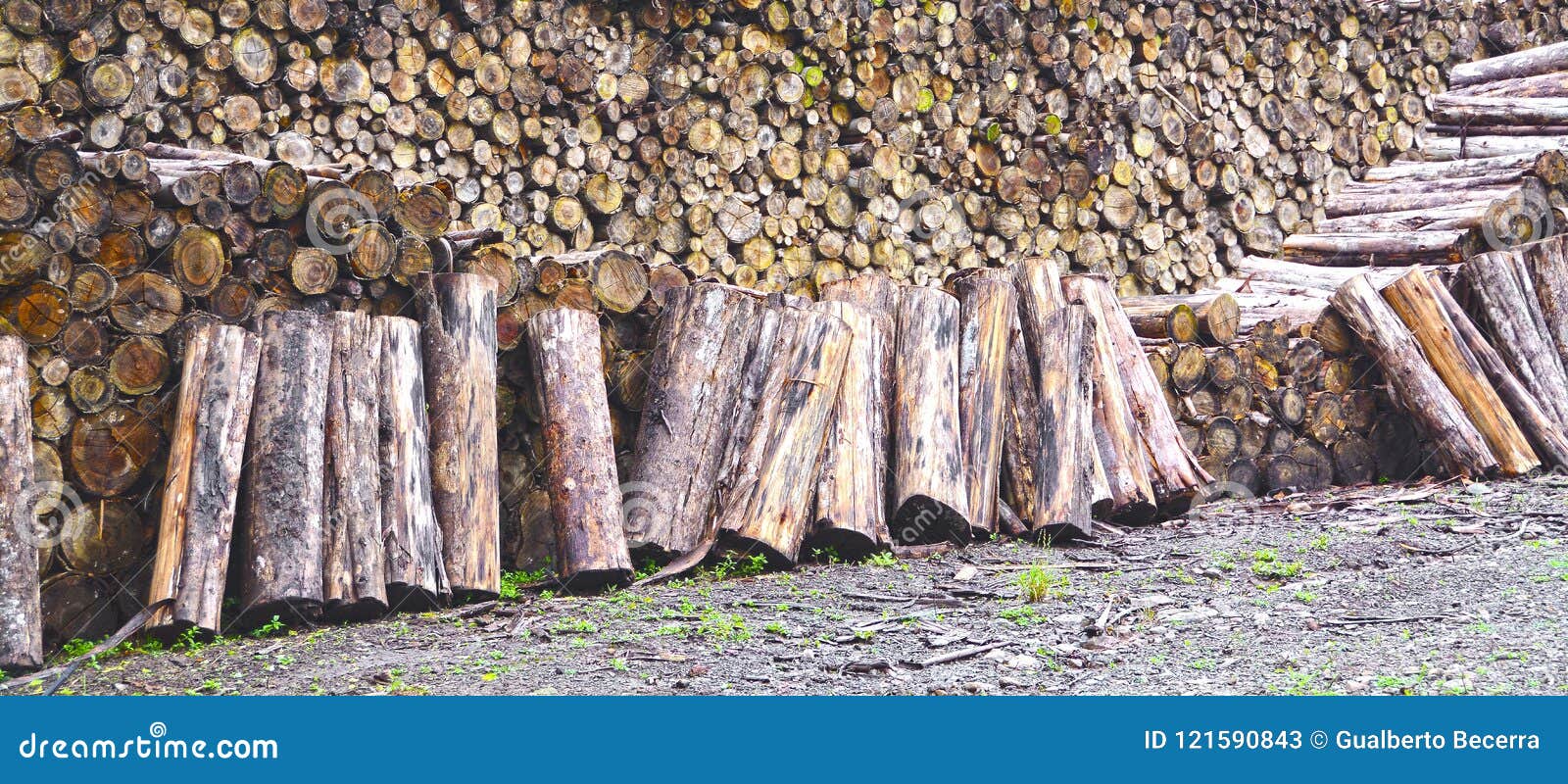 Grange Avec La Pile De Bois De Chauffage Avec La Pile Des Rondins