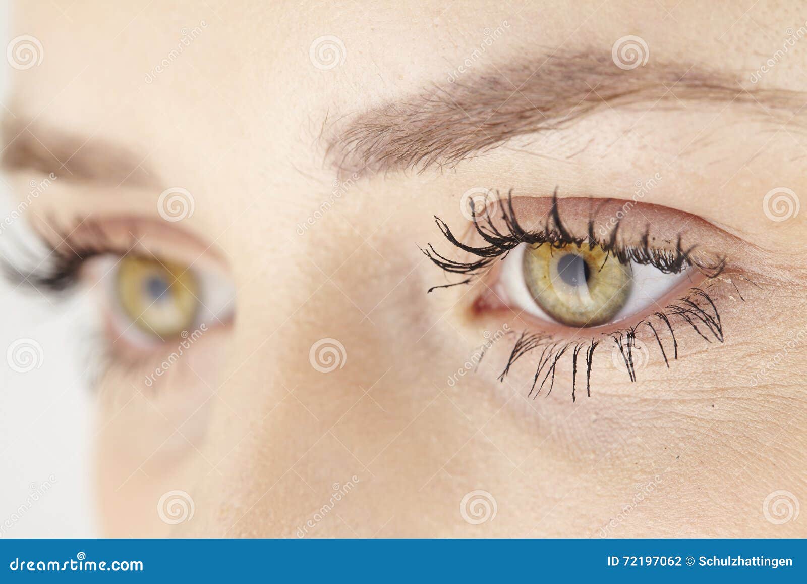 Fermez Vous Des Yeux Verts Jaunes De La Femme Attirante Photo Stock Image Du Chartreuse Detail