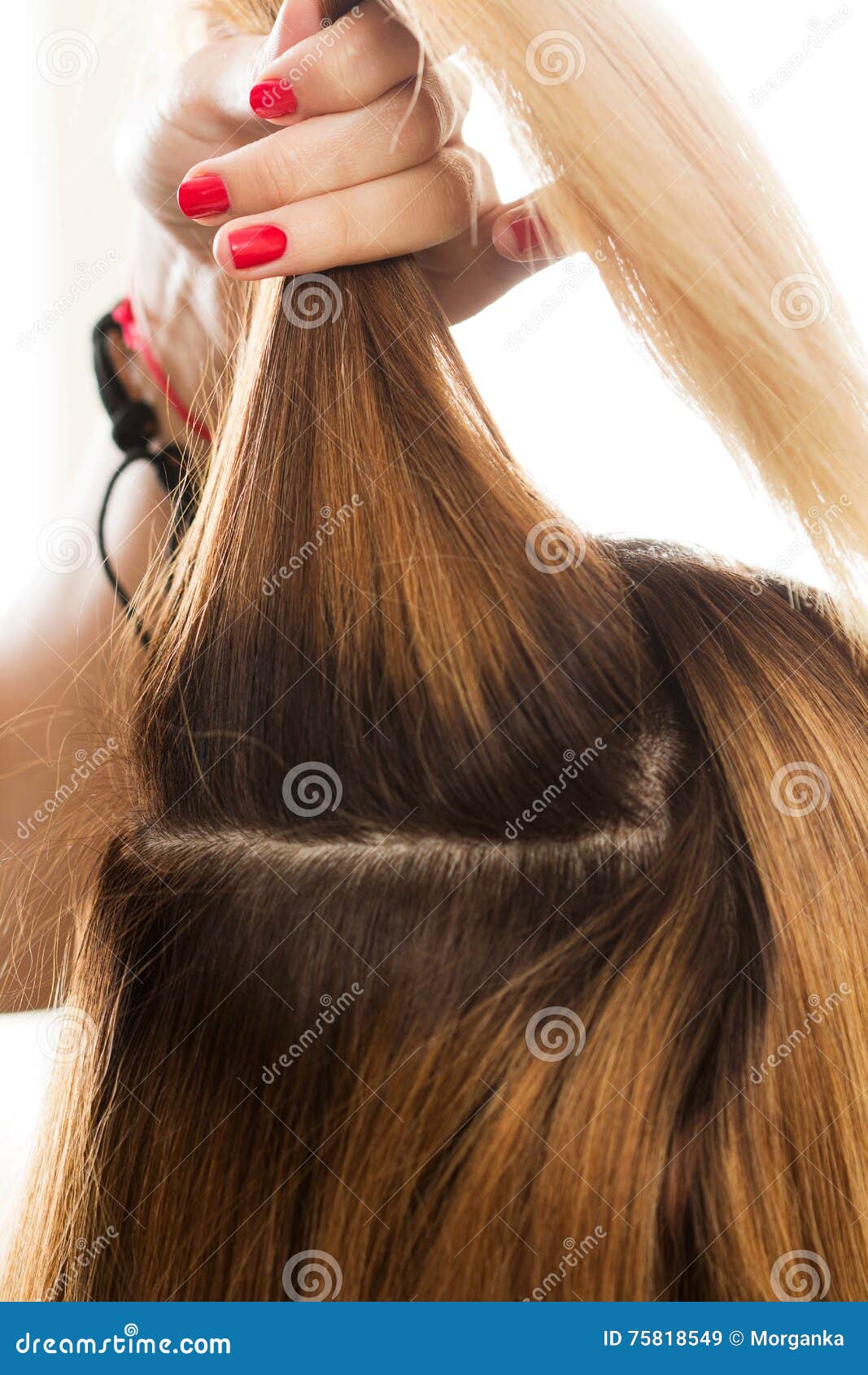 Fermez-vous Vers Le Haut De La Vue De La Mèche De Participation De Main De  Coiffeur Des Cheveux Image stock - Image du mode, longtemps: 75818549