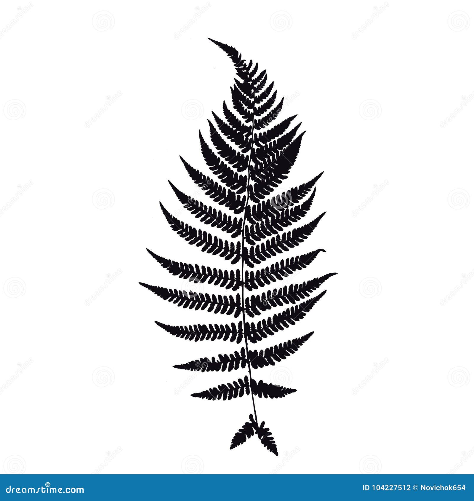 Fern leaf silhouette. stock vector. Illustration of sign - 104227512