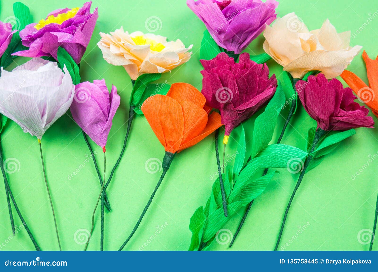 Ferramentas Que Fazem a Flores De Papel Crepom O Fundo Verde Imagem de  Stock - Imagem de matrizes, quadro: 135758445