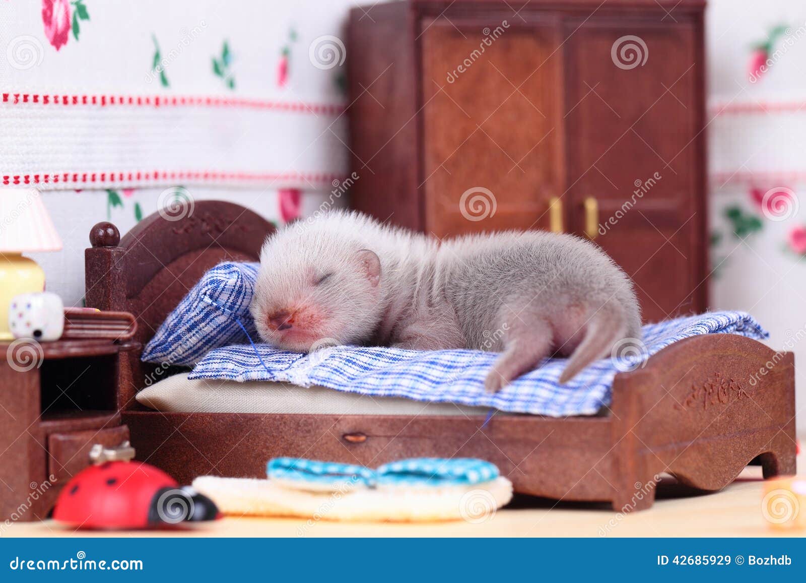 ferret baby in doll house