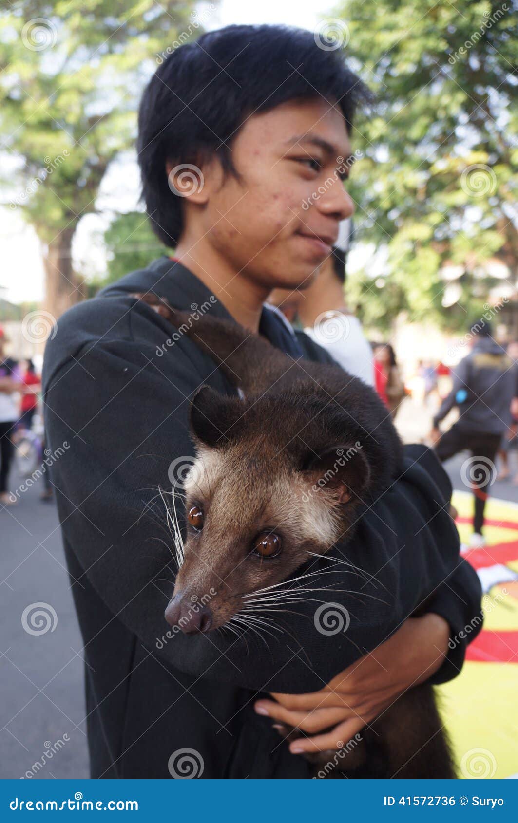 Ferret editorial photo. Image of gathered, mammal, snout 41572736