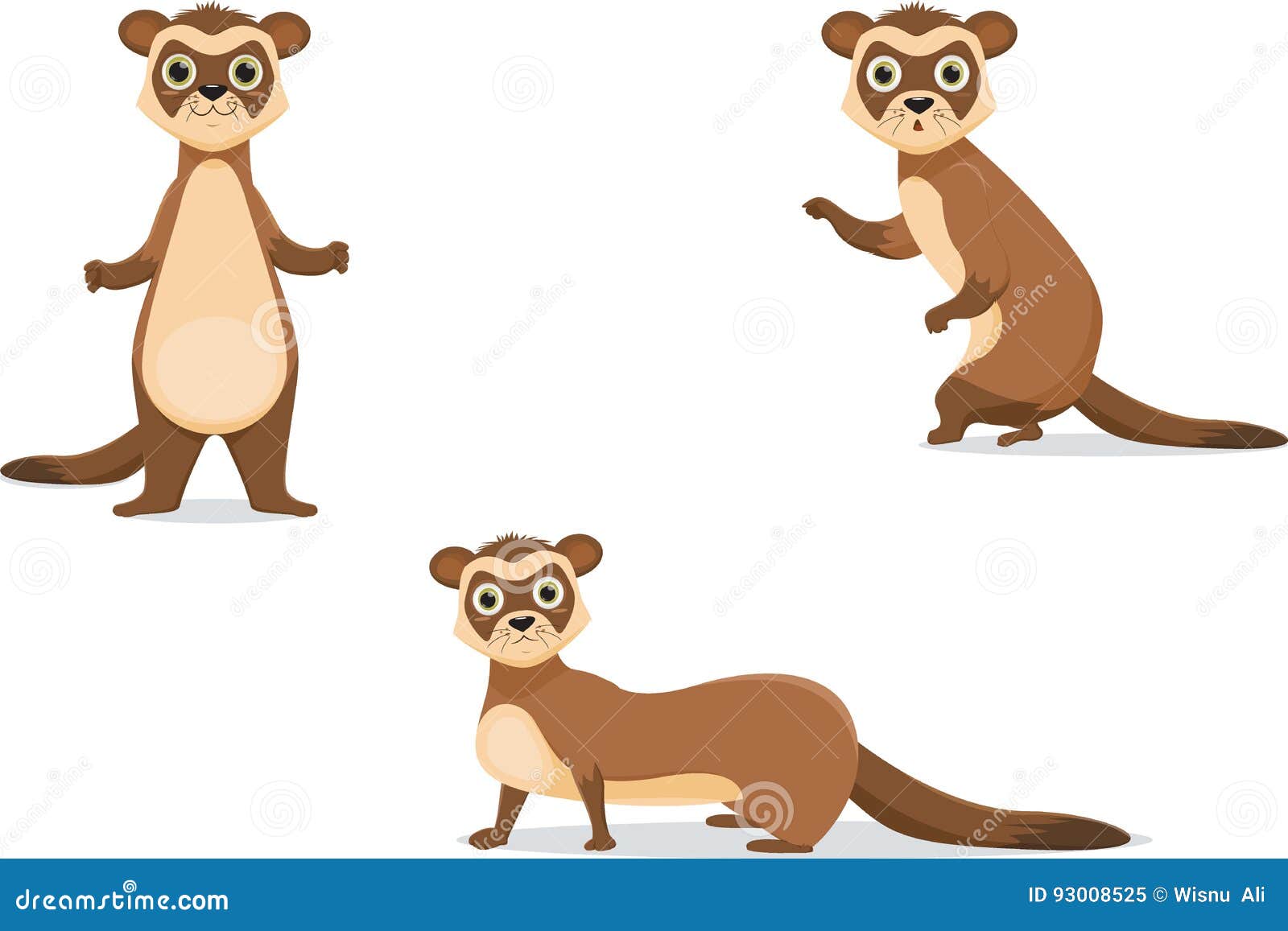 Ferret Illustrations in Different Poses. Stock Vector Illustration of