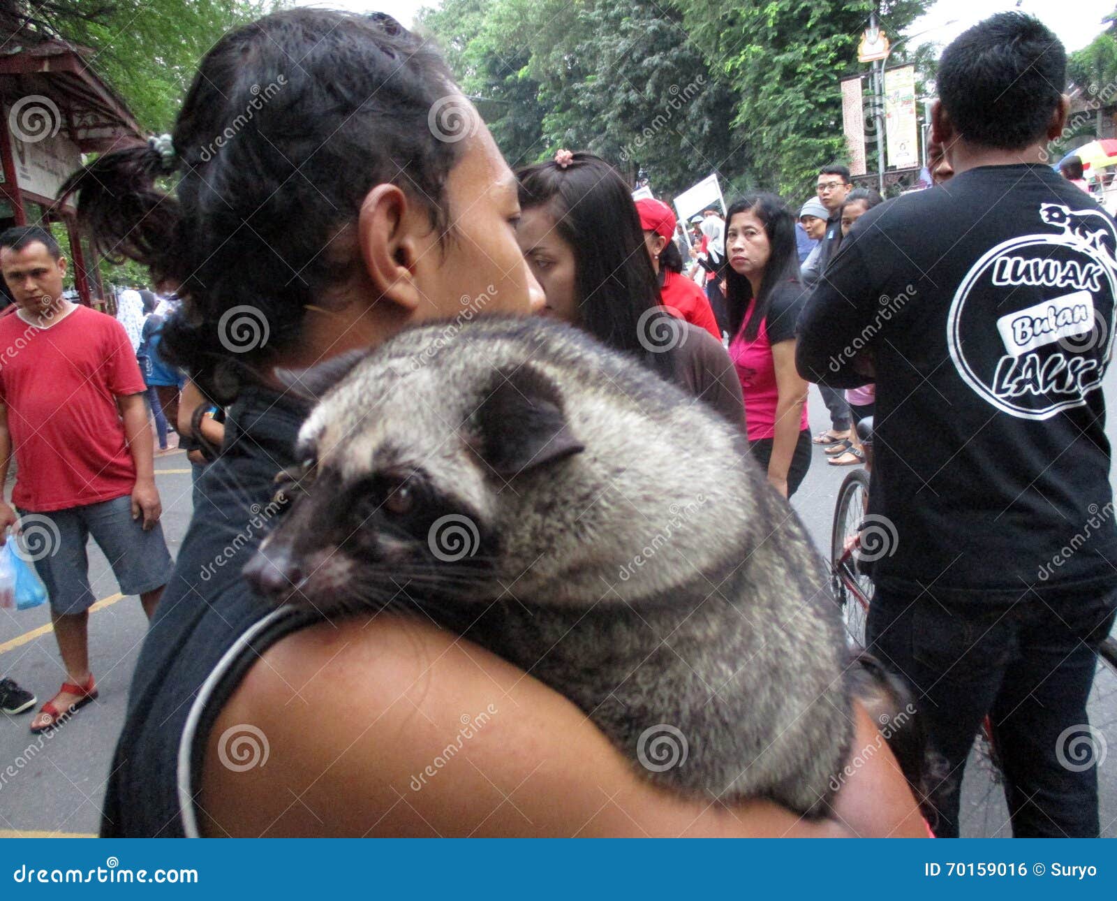 Ferret editorial photo. Image of central, indonesia, city 70159016