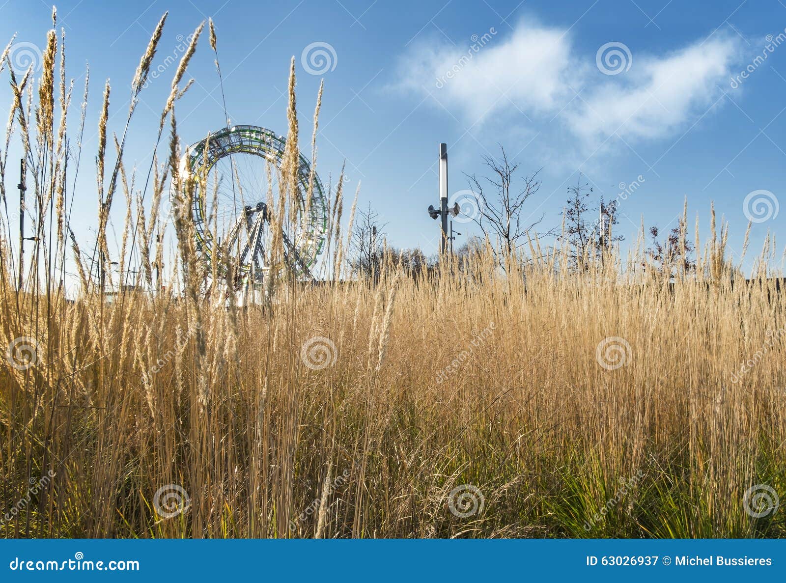 ferris wheel with herbage