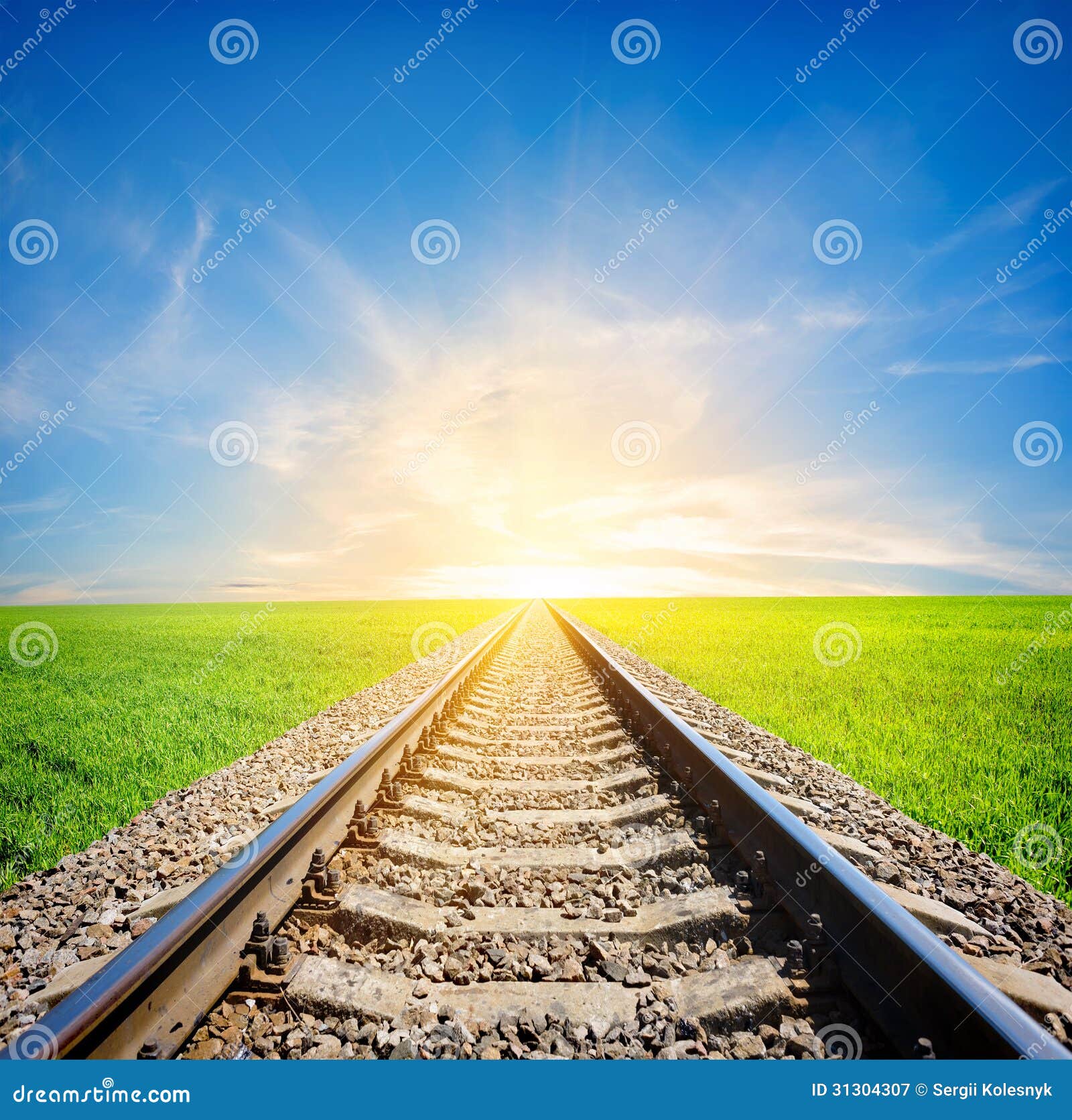 Ferrovia nel campo immagine stock. Immagine di orizzonte - 31304307