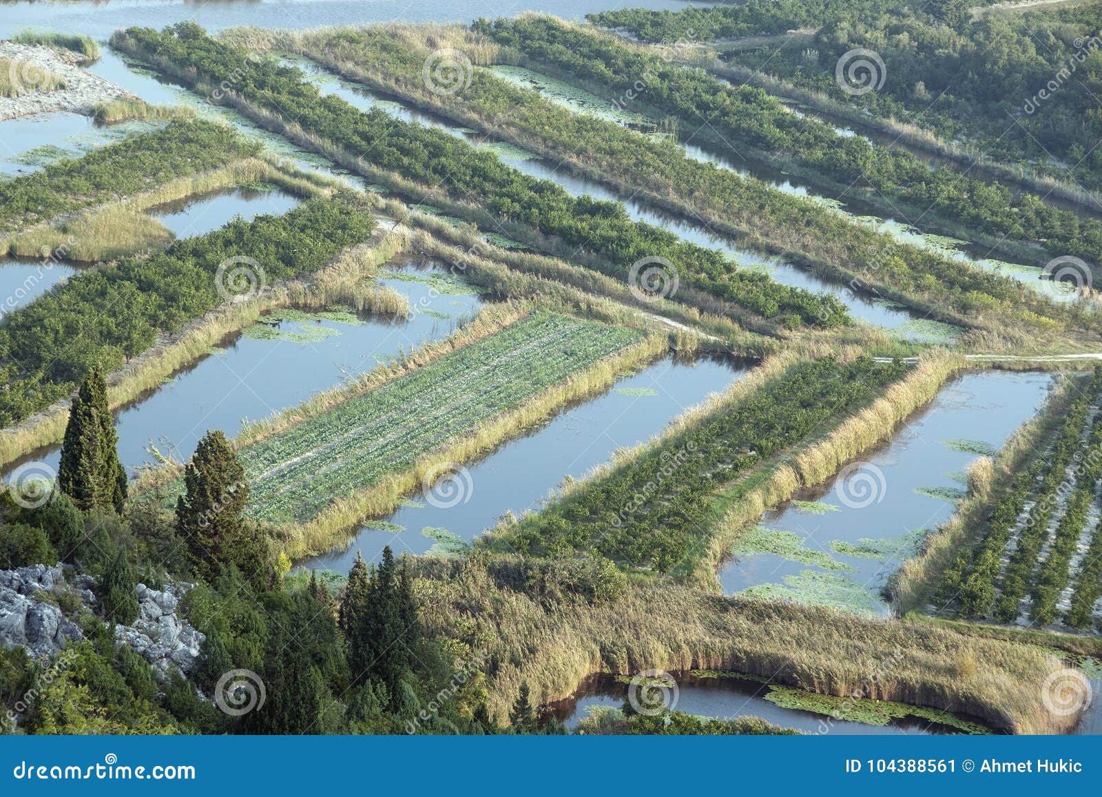 Fertile Fields in the Delta of Neretva River in Croatia Stock Image
