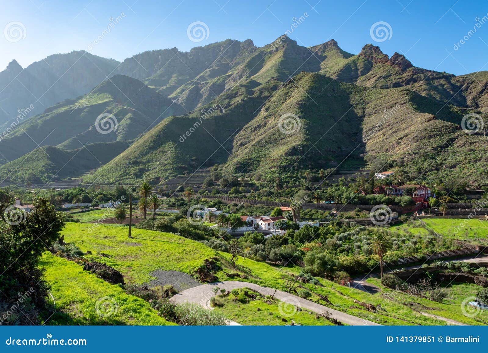 fertile valley with mango and oranges fruit plantations, vineyards and avocados orchards near agaete, gran canaria, canary islands