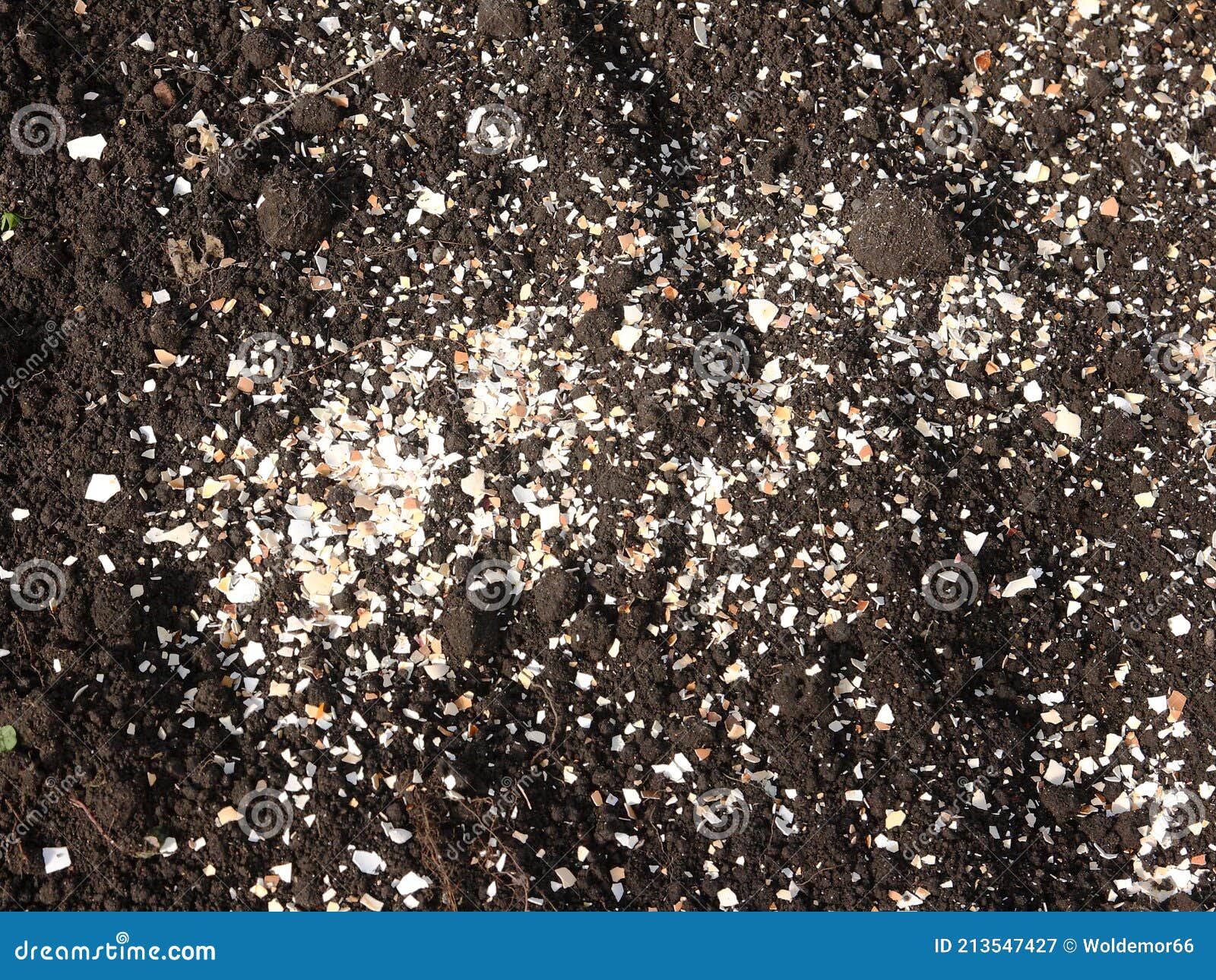 Crushed Eggshells Photos Free Royalty Free Stock Photos From Dreamstime