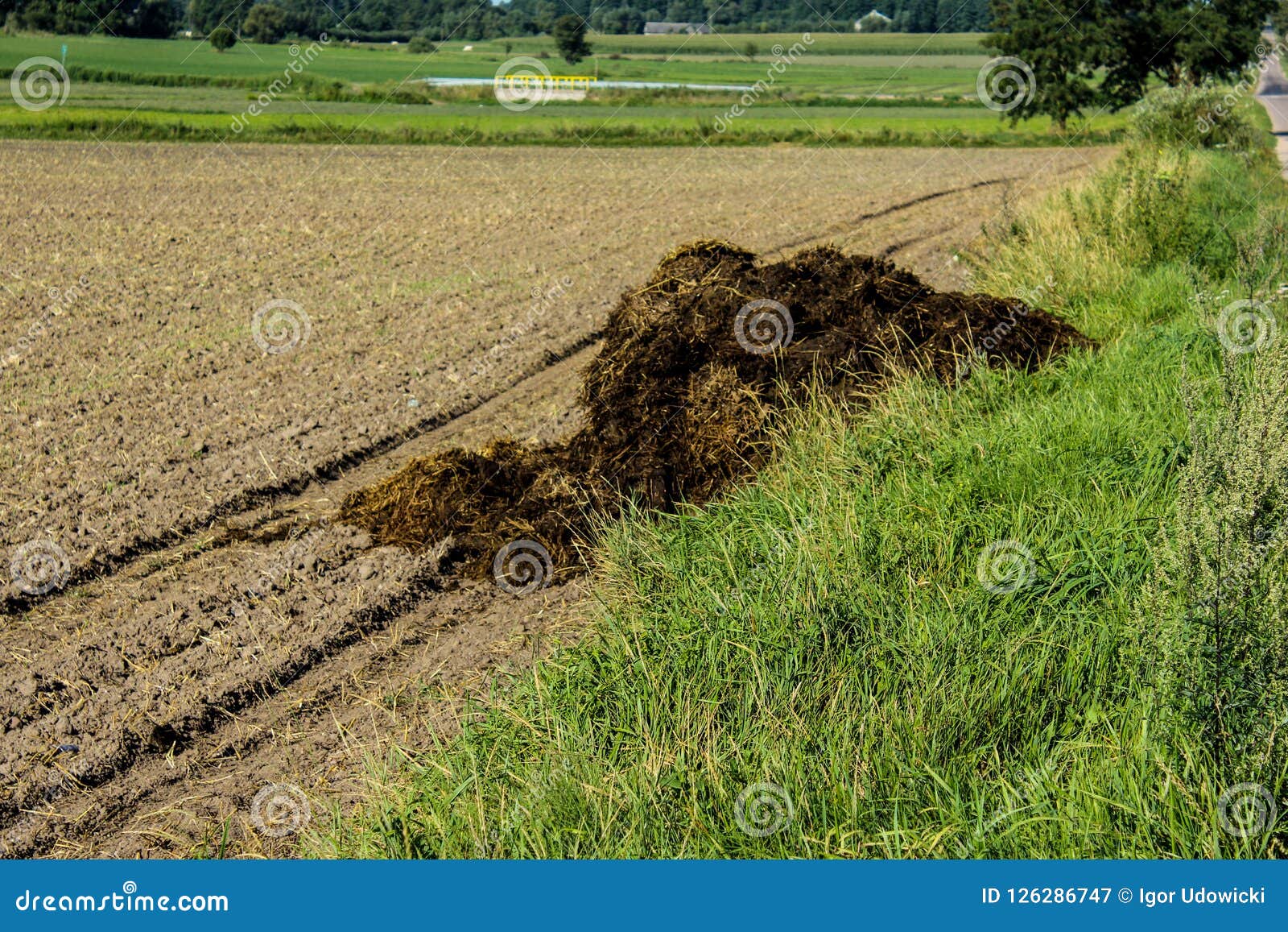 Fertilizer From Cow Manure And Straw Stock Image Image Of