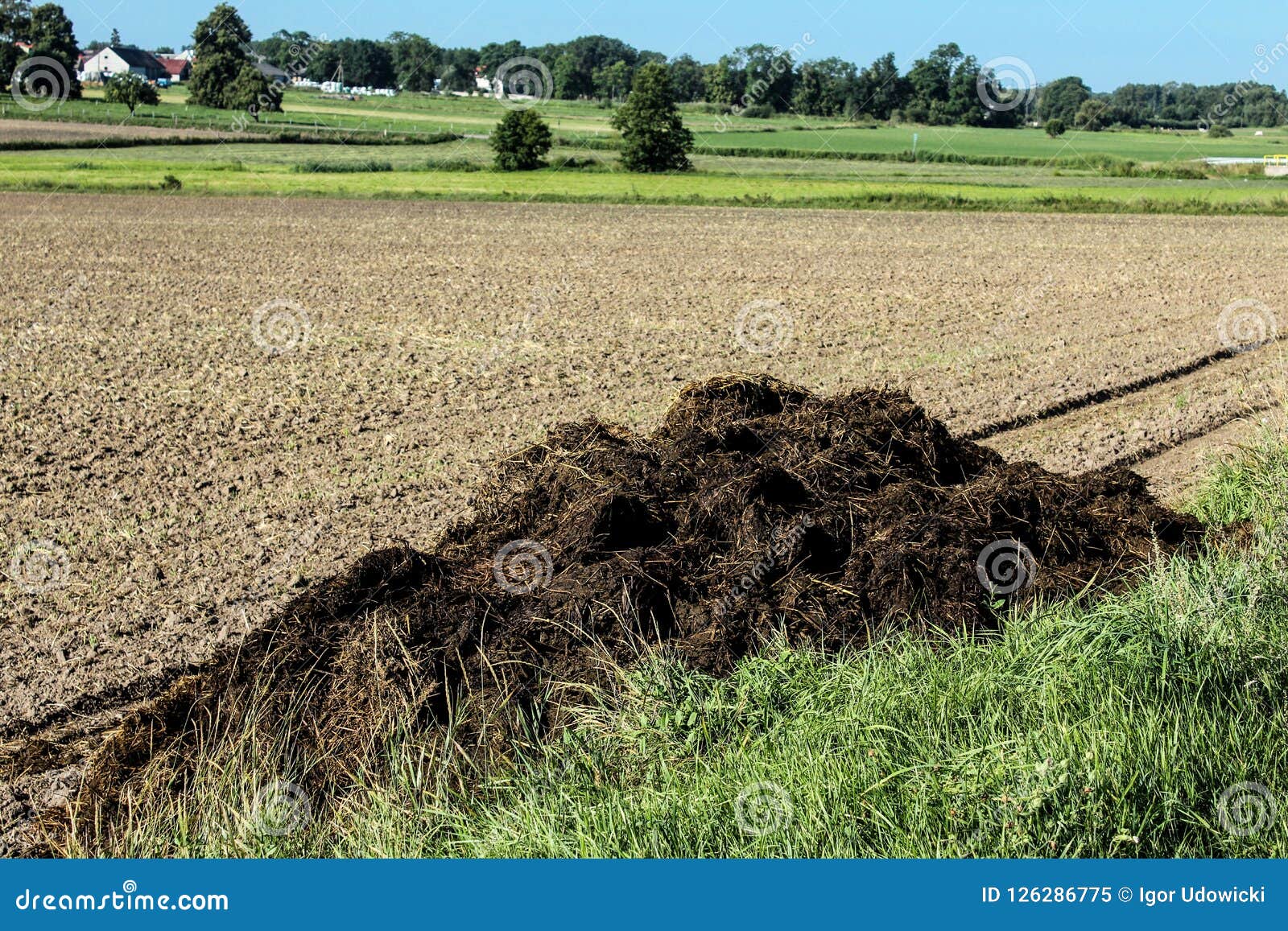 Fertilizer From Cow Manure And Straw Stock Image Image Of