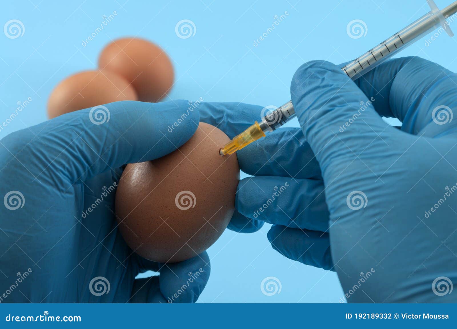 flu vaccine production flu vaccine production