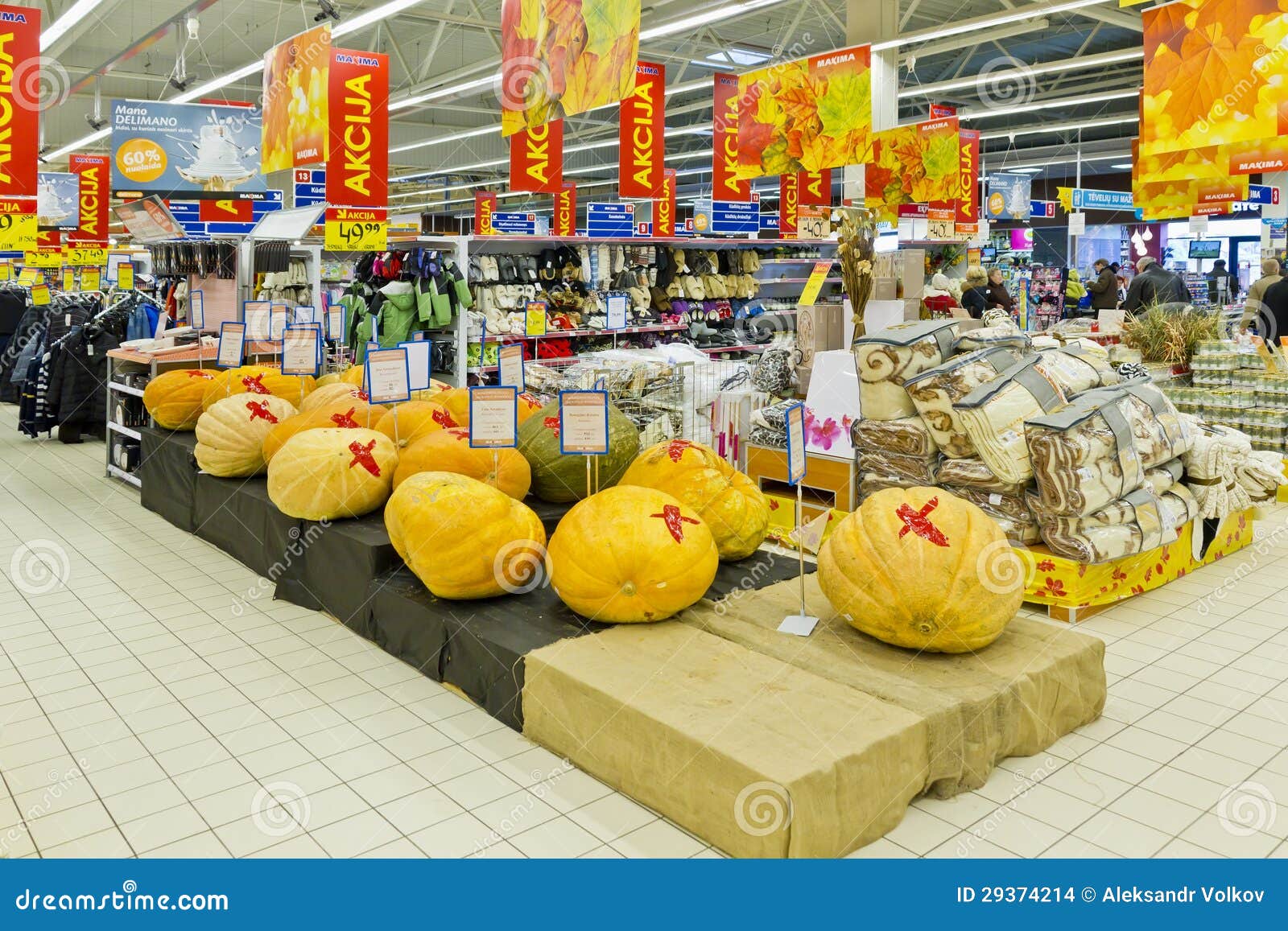 Festival De Calabazas Enormes Imagen de archivo editorial Imagen de