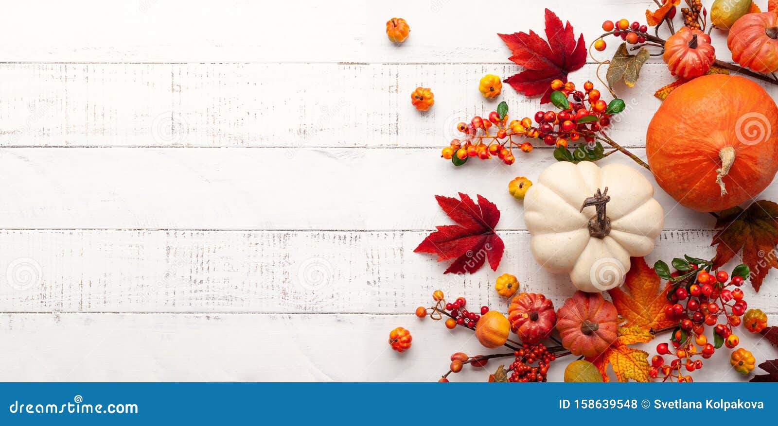 festive autumn decor from pumpkins, berries and leaves on a white  wooden background. concept of thanksgiving day or halloween.